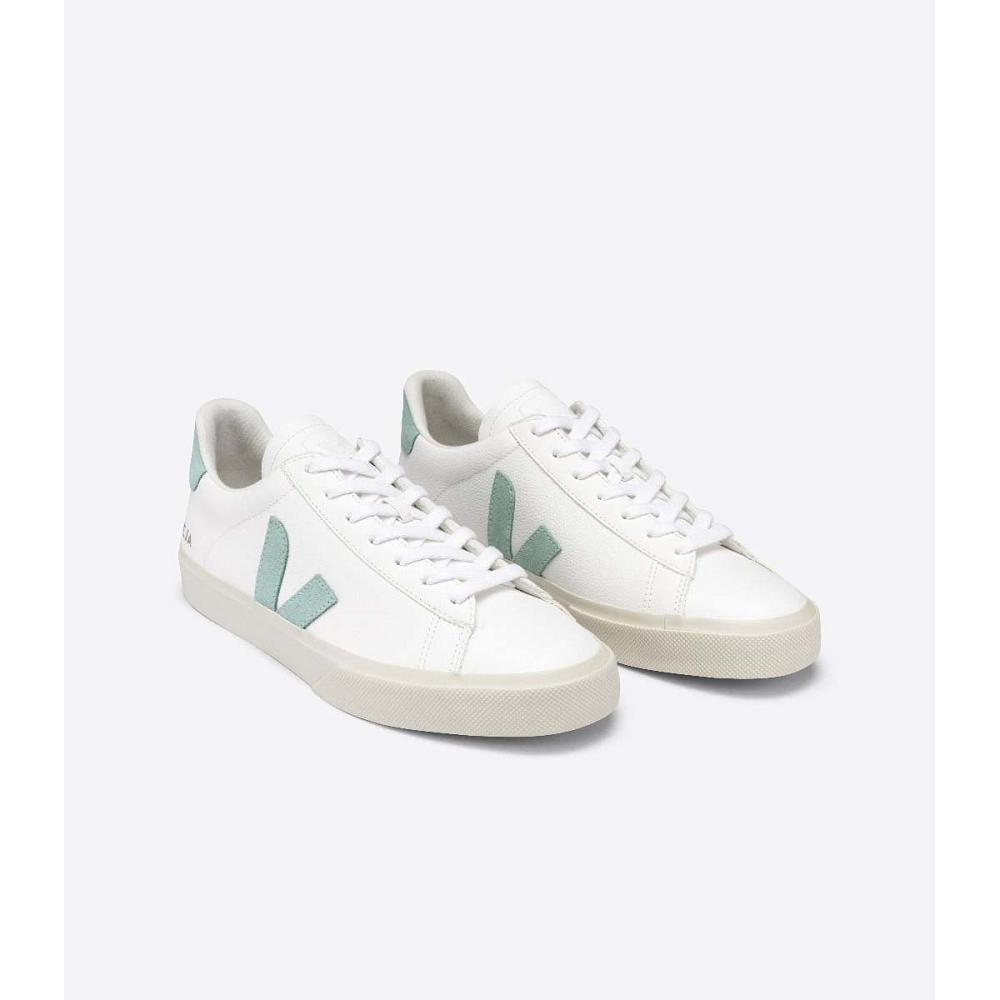 Veja CAMPO CHROMEFREE Men's Low Tops Sneakers White/Green | CA 196NWY